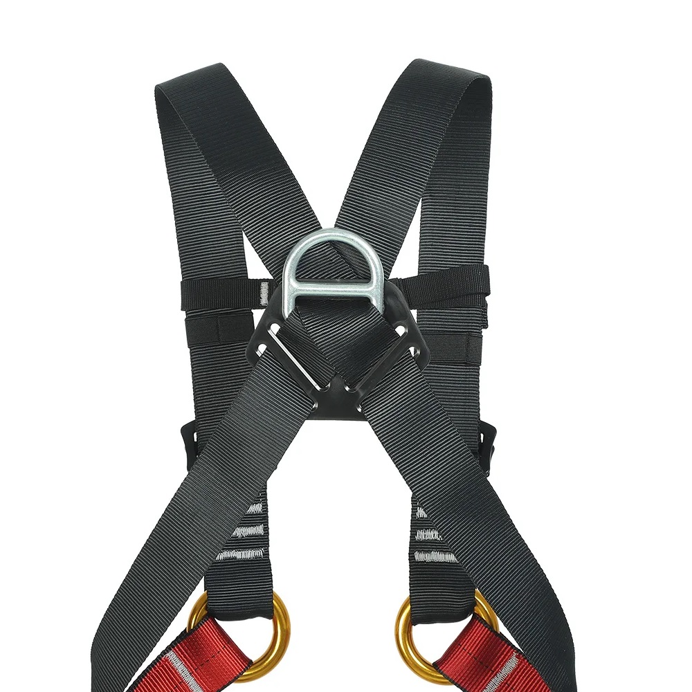 Arnés de cuerpo completo de ex - Kids Outdoor Jumping reseña y precio